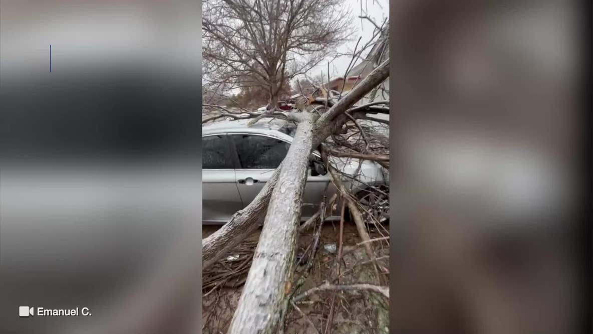 Ice causes tree to fall on car in Hurst